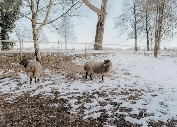 Our Farm Ferienwohnung
