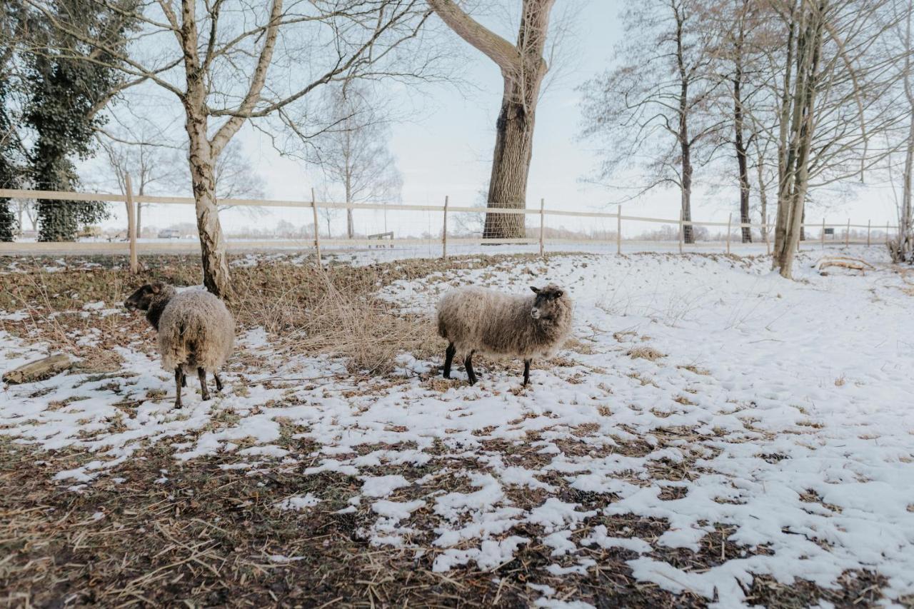 Our Farm *